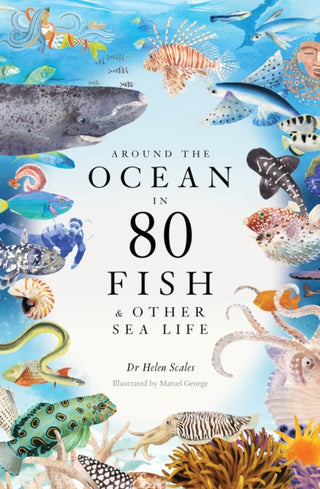 Cover image for 9781399602785 - Around the Ocean in 80 Fish and other Sea Life