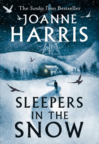 Cover image for 9781399604796 - Sleepers in the Snow