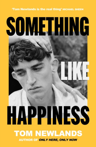 Cover image for 9781399607940 - Something Like Happiness