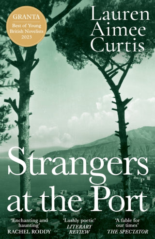 Cover image for 9781399608183 - Strangers at the Port