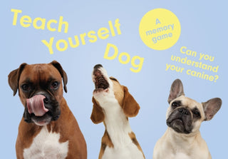 Cover image for 9781399608527 - Teach Yourself Dog