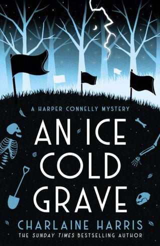 Cover image for 9781399609531 - An Ice Cold Grave