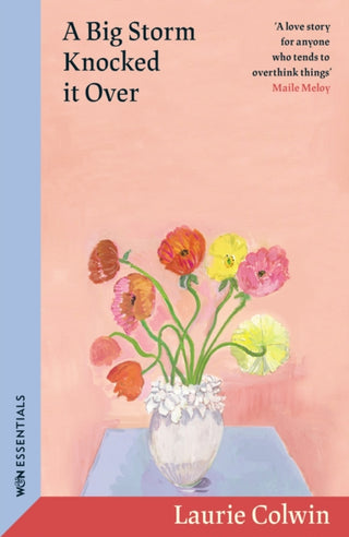 Cover image for 9781399614429 - A Big Storm Knocked it Over