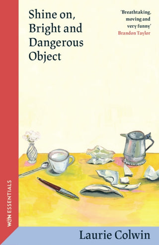 Cover image for 9781399614450 - Shine on, Bright and Dangerous Object