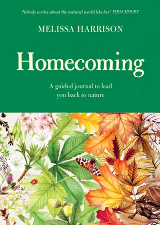 Cover image for 9781399618779 - Homecoming