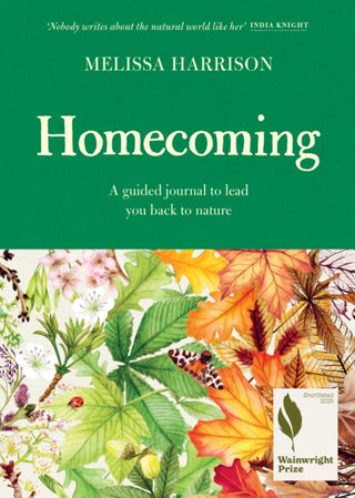 Cover image for 9781399618779 - Homecoming