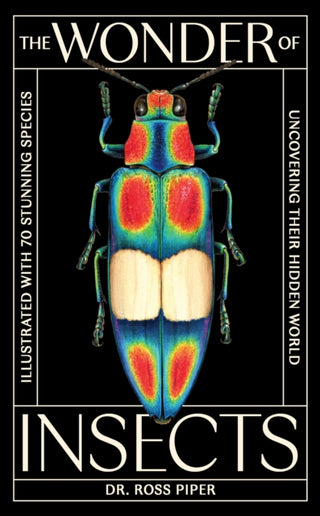 Cover image for 9781399625715 - The Wonder of Insects: Uncovering their Hidden World