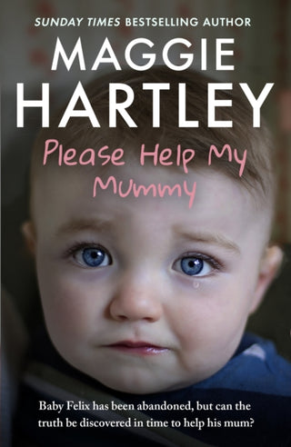 Cover image for 9781399629225 - Please Help My Mummy