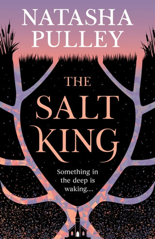 Cover image for 9781399632966 - The Salt King