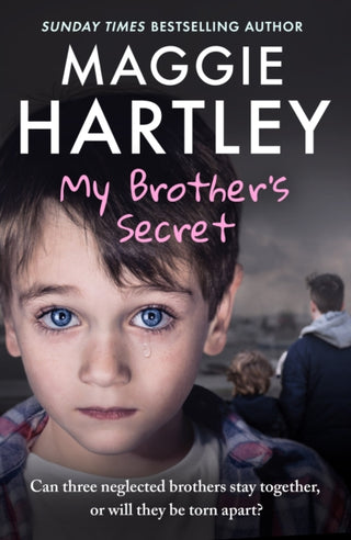 Cover image for 9781399638548 - My Brother's Secret