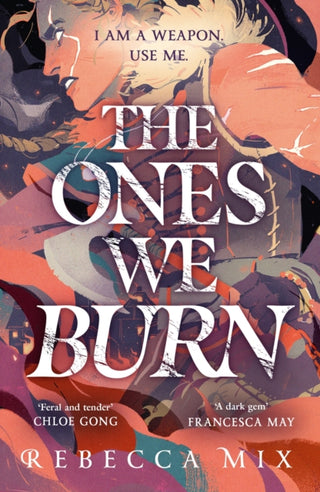 Cover image for 9781399706254 - The Ones We Burn