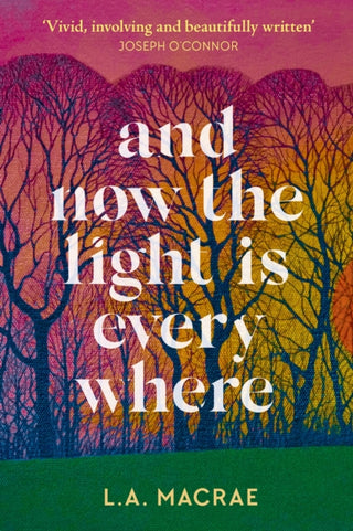 Cover image for 9781399707466 - And Now the Light is Everywhere