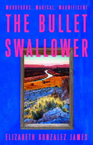 Cover image for 9781399709064 - The Bullet Swallower