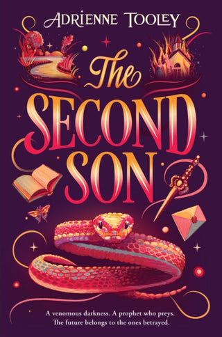 Cover image for 9781399713993 - The Second Son