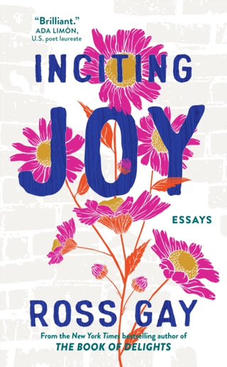 Cover image for 9781399716017 - Inciting Joy