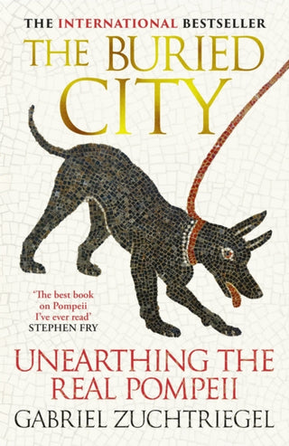 Cover image for 9781399731171 - The Buried City