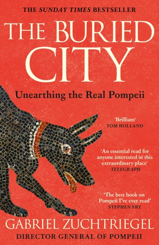 Cover image for 9781399731195 - The Buried City