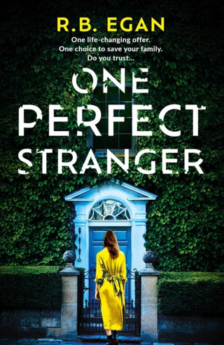 Cover image for 9781399732185 - One Perfect Stranger