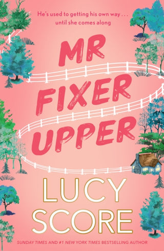 Cover image for 9781399735513 - Mr Fixer Upper