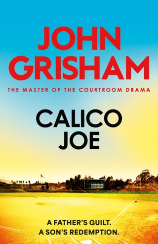 Cover image for 9781399740432 - Calico Joe