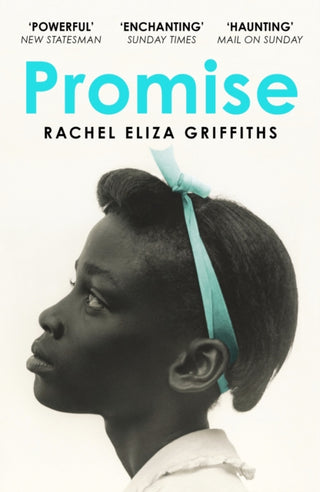 Cover image for 9781399809832 - Promise