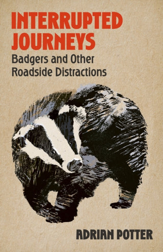 Cover image for 9781399822404 - Interrupted Journeys