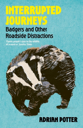 Cover image for 9781399822411 - Interrupted Journeys