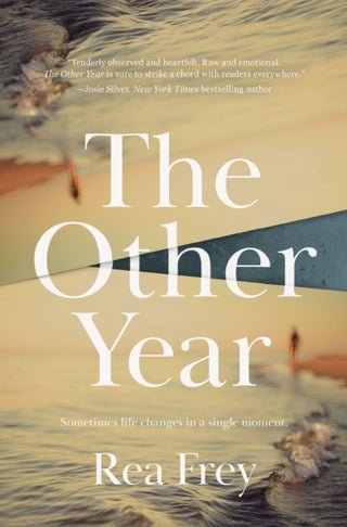 Cover image for 9781400243105 - The Other Year