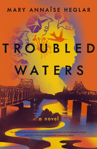 Cover image for 9781400248117 - Troubled Waters