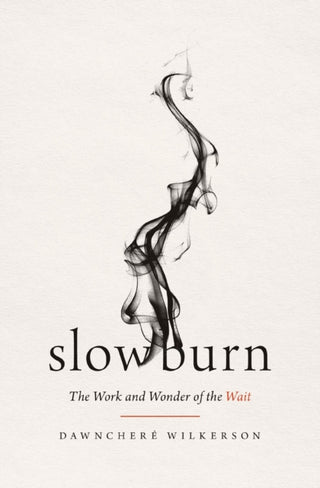 Cover image for 9781400345519 - Slow Burn