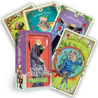 Cover image for 9781401963262 - The Tarot of Curious Creatures