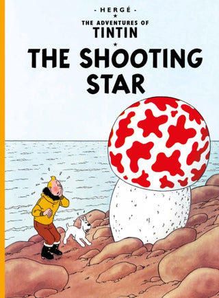 Cover image for 9781405206211 - The Shooting Star