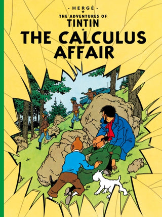 Cover image for 9781405206297 - The Calculus Affair