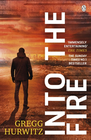 Cover image for 9781405928588 - Into the Fire