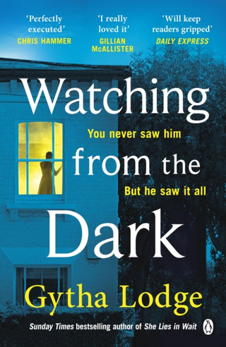 Cover image for 9781405938501 - Watching from the Dark