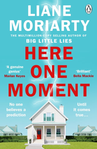 Cover image for 9781405942287 - Here One Moment