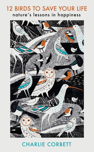 Cover image for 9781405949217 - 12 Birds to Save Your Life