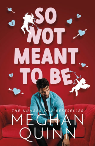Cover image for 9781405955805 - So Not Meant To Be