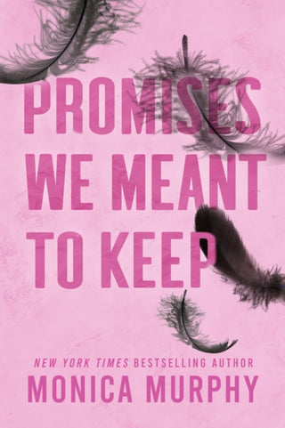Cover image for 9781405957373 - Promises We Meant To Keep