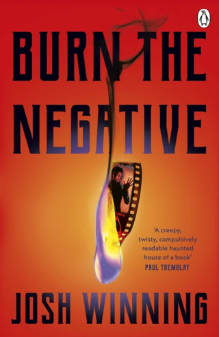 Cover image for 9781405968904 - Burn The Negative
