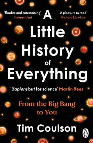 Cover image for 9781405981446 - A Little History of Everything