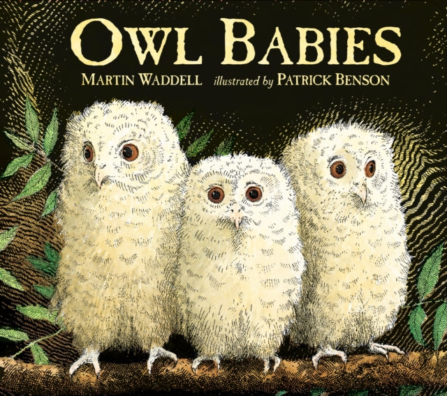 Cover image for 9781406374377 - Owl Babies