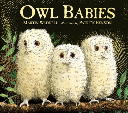 Cover image for 9781406374377 - Owl Babies