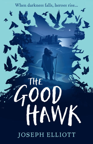 Cover image for 9781406385854 - The Good Hawk (Shadow Skye, Book One)
