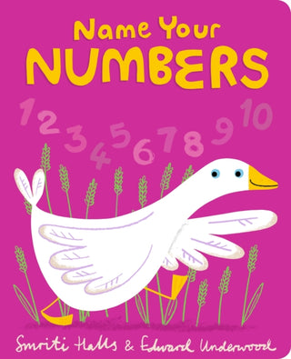 Cover image for 9781406387827 - Name Your Numbers