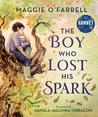 Cover image for 9781406392012 - The Boy Who Lost His Spark