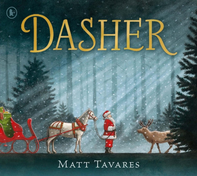 Cover image for 9781406393057 - Dasher