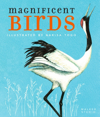 Cover image for 9781406393088 - Magnificent Birds