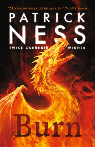 Cover image for 9781406393972 - Burn