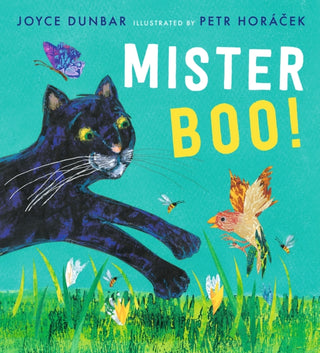 Cover image for 9781406395686 - Mister Boo!